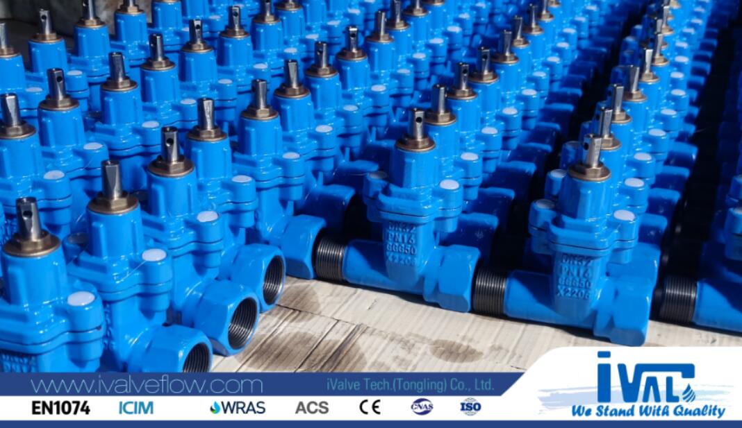 servicevalve (1).jpg servicevalve (1).jpg